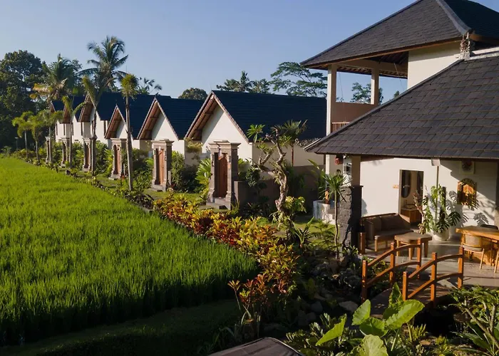 Ascarya